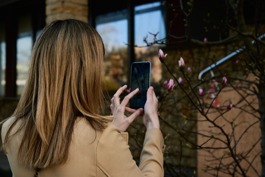 A woman taking a picture of flowers